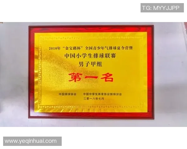 武汉排球队在冠军赛中的个人能力分析与表现评估